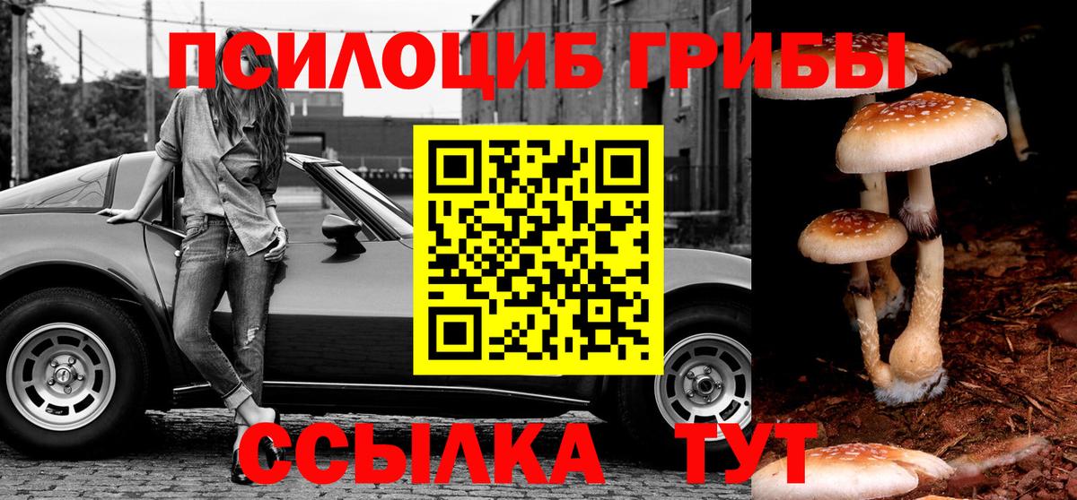Псилоцибиновые грибы мицелий  Псилоцибиновые грибы Cubensis  Можга  Вход с VPN 