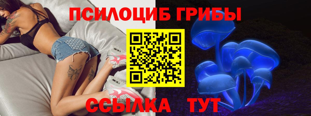 Псилоцибиновые грибы Psilocybine cubensis Можга